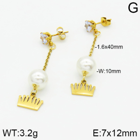 Stainless Steel Earrings  2E3000830aaji-731