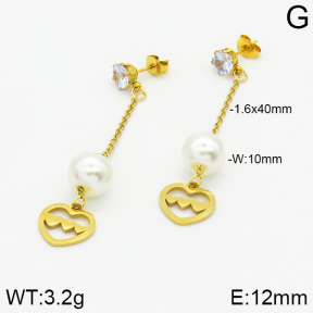 Stainless Steel Earrings  2E3000831aaji-731