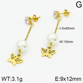 Stainless Steel Earrings  2E3000833aaji-731