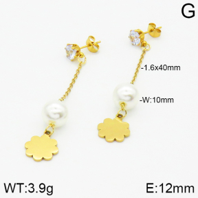 Stainless Steel Earrings  2E3000835aaji-731