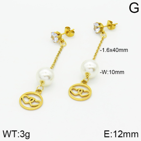 Stainless Steel Earrings  2E3000837aaji-731