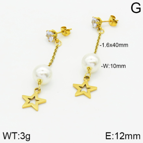 Stainless Steel Earrings  2E3000838aaji-731