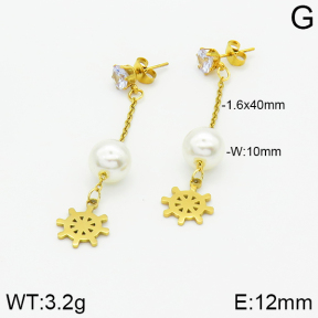 Stainless Steel Earrings  2E3000839aaji-731