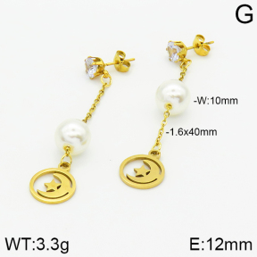 Stainless Steel Earrings  2E3000840aaji-731