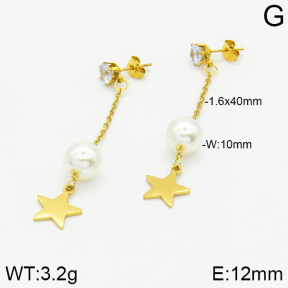 Stainless Steel Earrings  2E3000841aaji-731