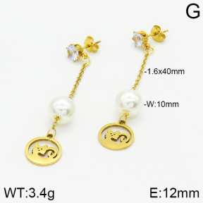 Stainless Steel Earrings  2E3000843aaji-731