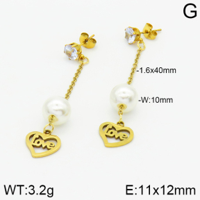 Stainless Steel Earrings  2E3000844aaji-731