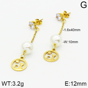 Stainless Steel Earrings  2E3000847aaji-731