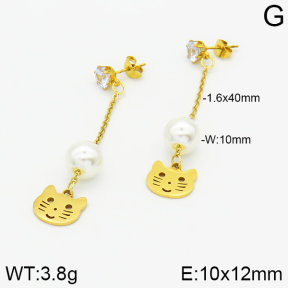 Stainless Steel Earrings  2E3000849aaji-731