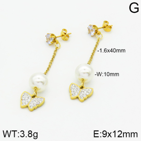 Stainless Steel Earrings  2E3000850baka-731