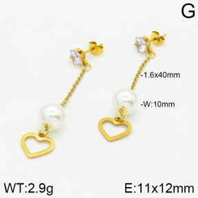 Stainless Steel Earrings  2E3000852aaji-731