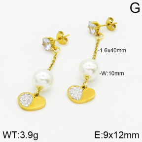 Stainless Steel Earrings  2E3000854baka-731