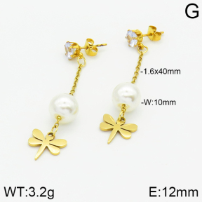 Stainless Steel Earrings  2E3000856aaji-731