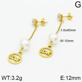 Stainless Steel Earrings  2E3000859aaji-731