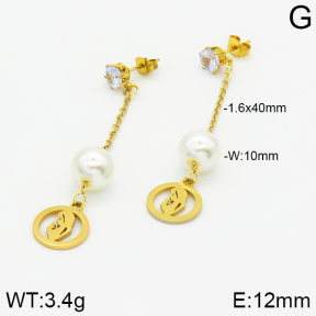 Stainless Steel Earrings  2E3000860aaji-731