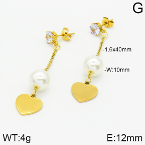 Stainless Steel Earrings  2E3000861aaji-731