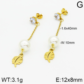 Stainless Steel Earrings  2E3000863aaji-731