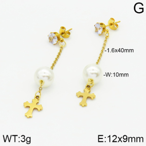 Stainless Steel Earrings  2E3000867aaji-731