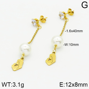 Stainless Steel Earrings  2E3000868aaji-731