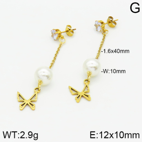 Stainless Steel Earrings  2E3000869aaji-731