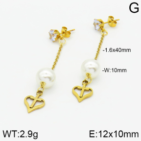 Stainless Steel Earrings  2E3000871aaji-731