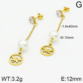 Stainless Steel Earrings  2E3000872aaji-731