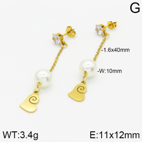 Stainless Steel Earrings  2E3000873aaji-731