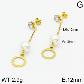 Stainless Steel Earrings  2E3000874aaji-731