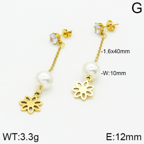 Stainless Steel Earrings  2E3000875aaji-731