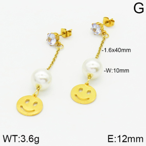 Stainless Steel Earrings  2E3000876aaji-731