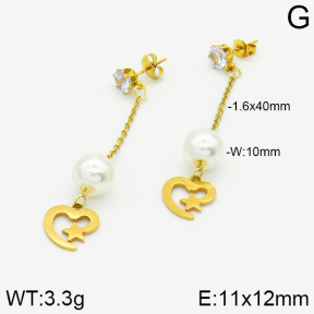 Stainless Steel Earrings  2E3000877aaji-731