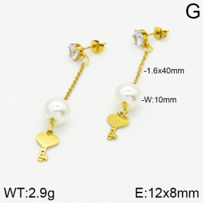 Stainless Steel Earrings  2E3000878aaji-731