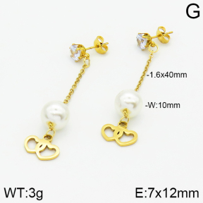 Stainless Steel Earrings  2E3000879aaji-731