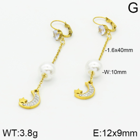 Stainless Steel Earrings  2E3000880baka-731