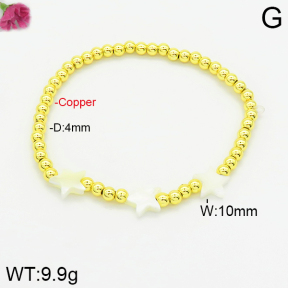 Fashion Copper Bracelet  F2B300290bbov-J101