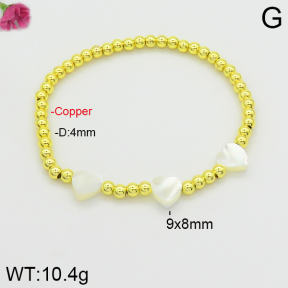 Fashion Copper Bracelet  F2B300291bbov-J101