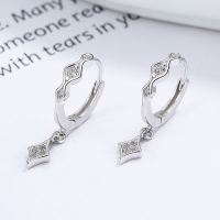 925 Silver Earrings WT:2.04g  JE2565vhpo-Y06 A-10-15