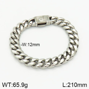 Stainless Steel Bracelet  2B2001403biib-237