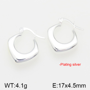 Stainless Steel Earrings  5E2001733vbpb-742
