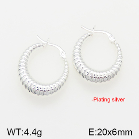 Stainless Steel Earrings  5E2001735vbpb-742