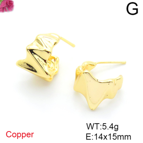 Fashion Copper Earrings  F6E201579vbpb-L036