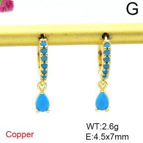 Fashion Copper Earrings  F6E403989vbpb-L036