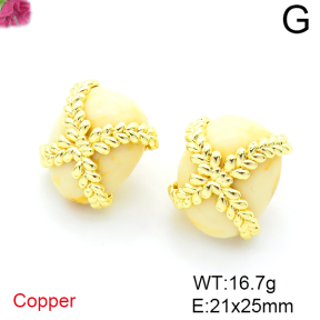 Fashion Copper Earrings  F6E404004bhia-L036