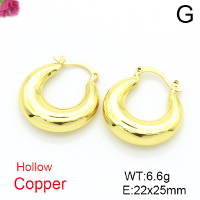 Fashion Copper Earrings  F6E200187vbmb-L017