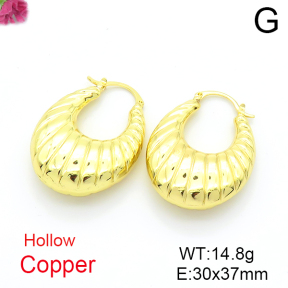 Fashion Copper Earrings  F6E200197vbnb-L017
