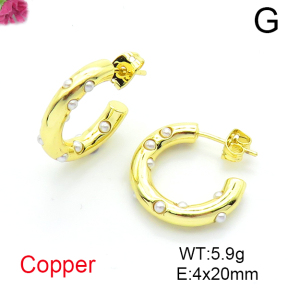 Fashion Copper Earrings  F6E200198ablb-L017