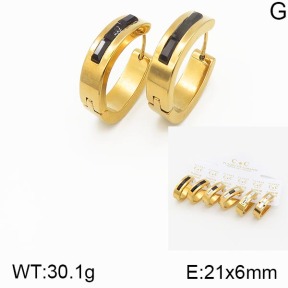 Stainless Steel Earrings  5E4001253vhov-658