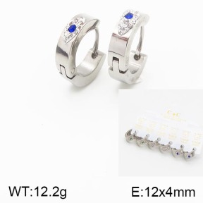 Stainless Steel Earrings  5E4001262aivb-658