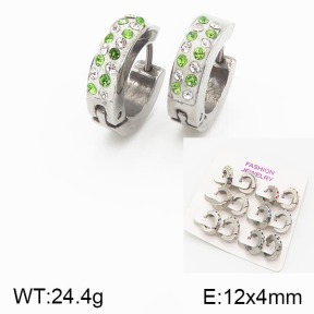 Stainless Steel Earrings  5E4001265aivb-658