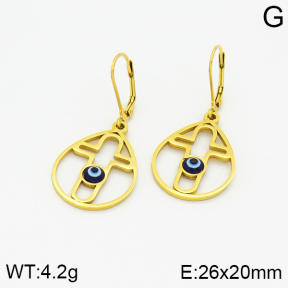 Stainless Steel Earrings  2E3000915baka-355